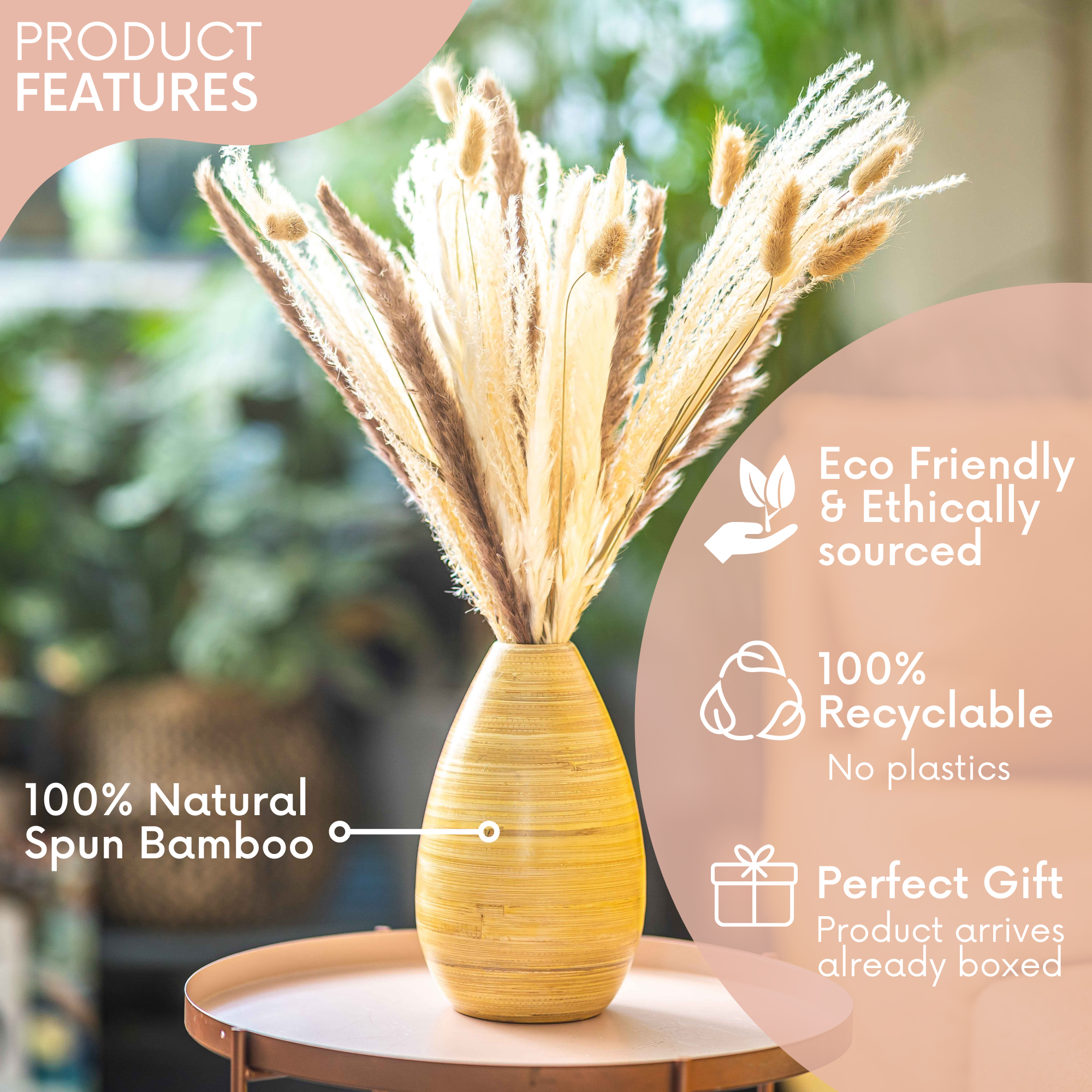 Bamboo vases with pampas grass gift boxed