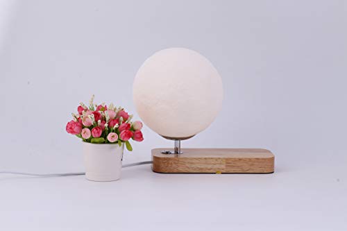 Moon Lamps