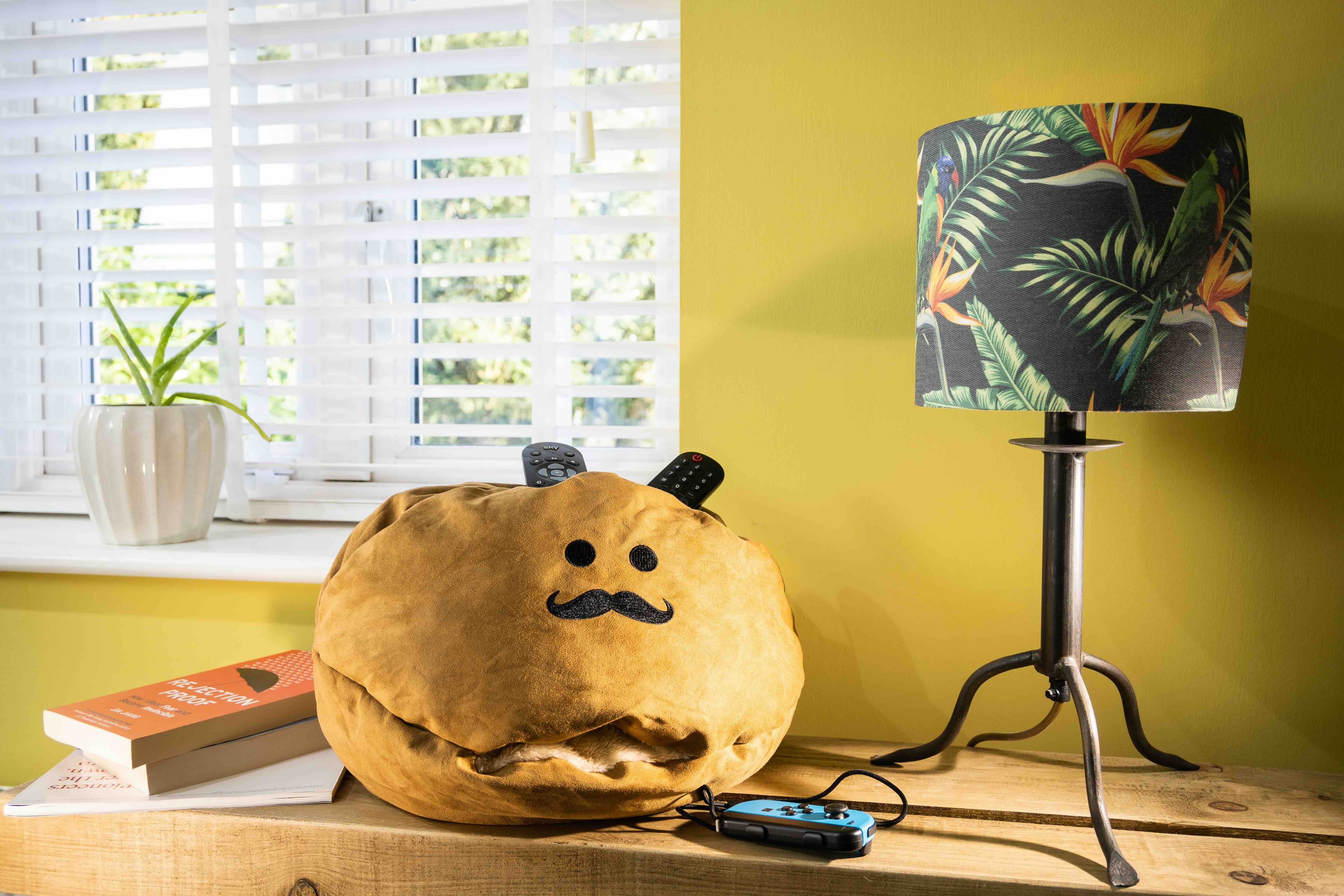 'Couch Potato' Remote Control Storage Cushion